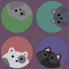 four circular pictures with cats in them on a purple background, one has a cat's head and the other is a dog's face