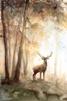 a watercolor painting of a deer in the woods with sun shining through the trees