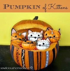 a pumpkin with three cats in it and the words pumpkin of kittens written below