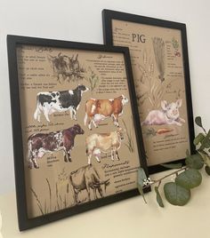 two framed pictures with different types of cows