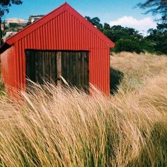 a red shed sitting in the middle of tall grass