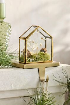 a glass house with moss and pine cones in it on top of a white mantle