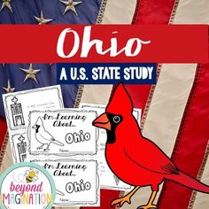 a red bird sitting on top of an american flag with the words ohio in front of it