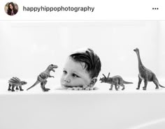 a young boy looking at toy dinosaurs in a bathtub with the caption happy hippopotaphotographshy