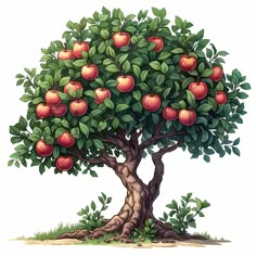 an apple tree with many fruits growing on it