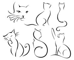 four different types of cats on a white background