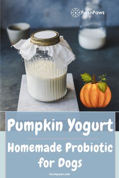 pumpkin yogurt homemade probiotic for dogs in a glass jar on a table