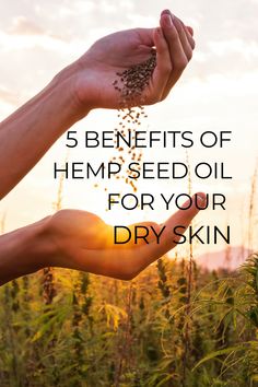 Growing Hemp At Home, Hemp Oil Benefits Skin, Oil For Skin, Hemp Leaf, Love Oil, Skincare Aesthetic