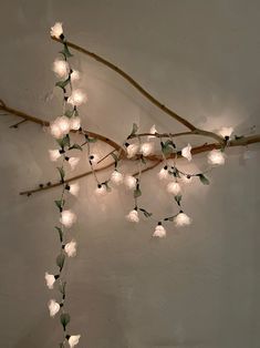 a branch with white flowers hanging from it's sides and lights on the branches