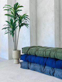 a green plant sitting on top of a pile of blue and green blankets next to a potted plant