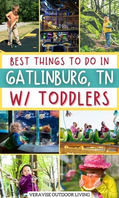 Things To Do In Gatlinburg, TN With Toddlers Midwest Vacations, Smokey Mountains Vacation, Tennessee Vacation