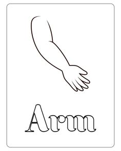 the word arm is shown in black and white with an image of a bird flying above it