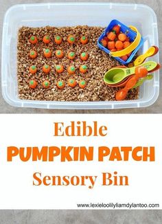 an edible pumpkin patch sensory bin for toddlers to learn how to make their own food