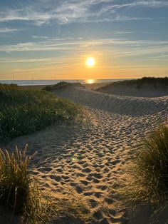 the sun is setting over the beach with grass in the foreground and sand dunes to the right