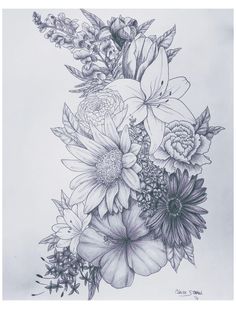 a pencil drawing of flowers on a sheet of paper