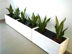 three planters with plants in them on the floor