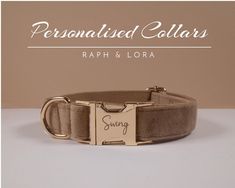 the personalized collar is shown with an engraved name on it and has a gold buckle