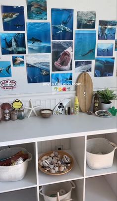 there are many pictures on the wall above the shelves and below them is a bowl with rocks in it