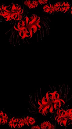 red flowers on black background with space in the middle for your own text or image