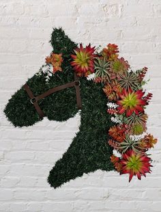 a horse's head made out of plants and succulents on a white brick wall