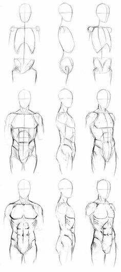 an image of the back view of a man's torso in different positions and directions