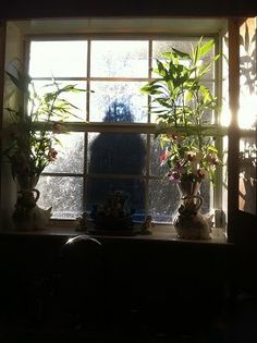 two potted plants sitting on a window sill in front of a sunlit window