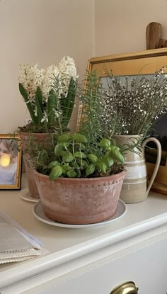 three potted plants on top of a white dresser next to a mirror and framed pictures