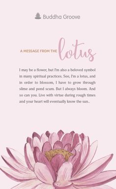 Lotus Buddha, Flower Meanings, Symbols And Meanings, Lotus Tattoo, Lotus Flower, The Words, Beautiful Words, Buddhism