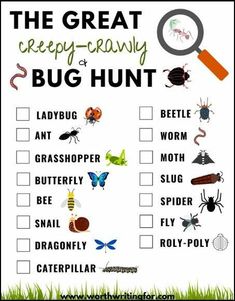 the great creepy - crawly bug hunt printable