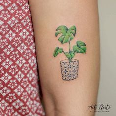 a small potted plant with green leaves on the side of a woman's arm