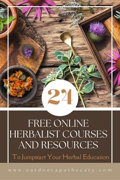 flowers and herbs with the text 21 free online herbist courses and resources