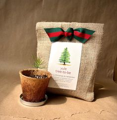 a small potted plant sitting next to a burlap bag with a red and green ribbon on it