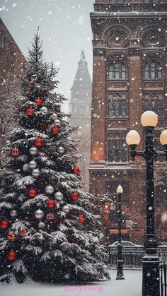 a christmas tree in front of a large building