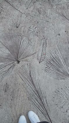 someone is standing on the sidewalk with their feet in front of an umbrella pattern that looks like leaves