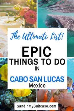 the ultimate list of things to do in cabo san lucas, mexico with text overlay