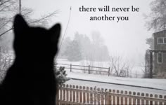 a black cat looking out the window at snow covered yard and fence, with a quote written on it