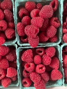 fresh raspberries are stacked up in blue boxes