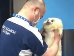 a man holding a small white dog in his hands and listening to headphones on