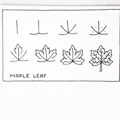 an ink drawing of maple leaves with the words maple leaf below them in black and white