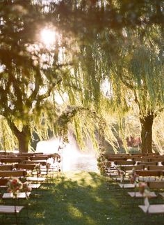 an outdoor ceremony with rows of chairs and trees in the background that reads, wedding