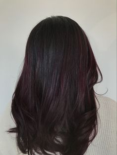 Black Hair With Plum Balayage, Black Hair With Dark Red Balayage, Black Hair With A Hint Of Red, Dark Brunette Hair With Burgundy, Dark Red Hair With Purple Undertones, Red Undertone Brunette, Black Hair With Tint Of Red, Dark Hair With Burgundy Undertones, Berry Black Hair