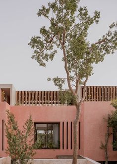 a tree in front of a pink building