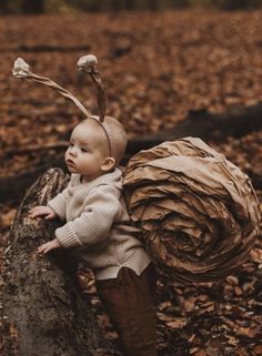 a baby is sitting on top of a tree in the woods