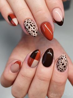 Halloween Nails Patchwork, Fun Nail Inspo Fall, Manicure Fall 2024, Fall Nails Colorful, Thanks Nails Thanksgiving, 70s Fall Nails, Tortoise Nail Design, Fun Autumn Nails, Short Fall Manicure