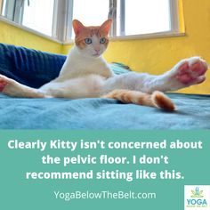 a cat laying on top of a bed with the caption clearly kitty isn't concerned about the pelvic floor i don't recommend sitting like this