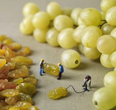 grapes and figurines are on the table next to each other, with tiny people standing in front of them