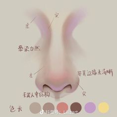 an animal's nose is shown with chinese characters in the bottom left hand corner