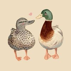 two ducks that are standing next to each other