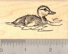 a rubber stamp with a duck in the water on it's side and a ruler next to it