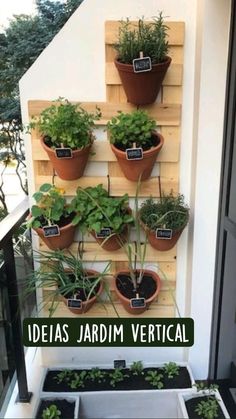 a vertical herb garden on the side of a building